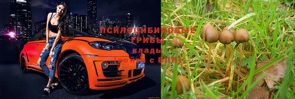 герыч Абаза